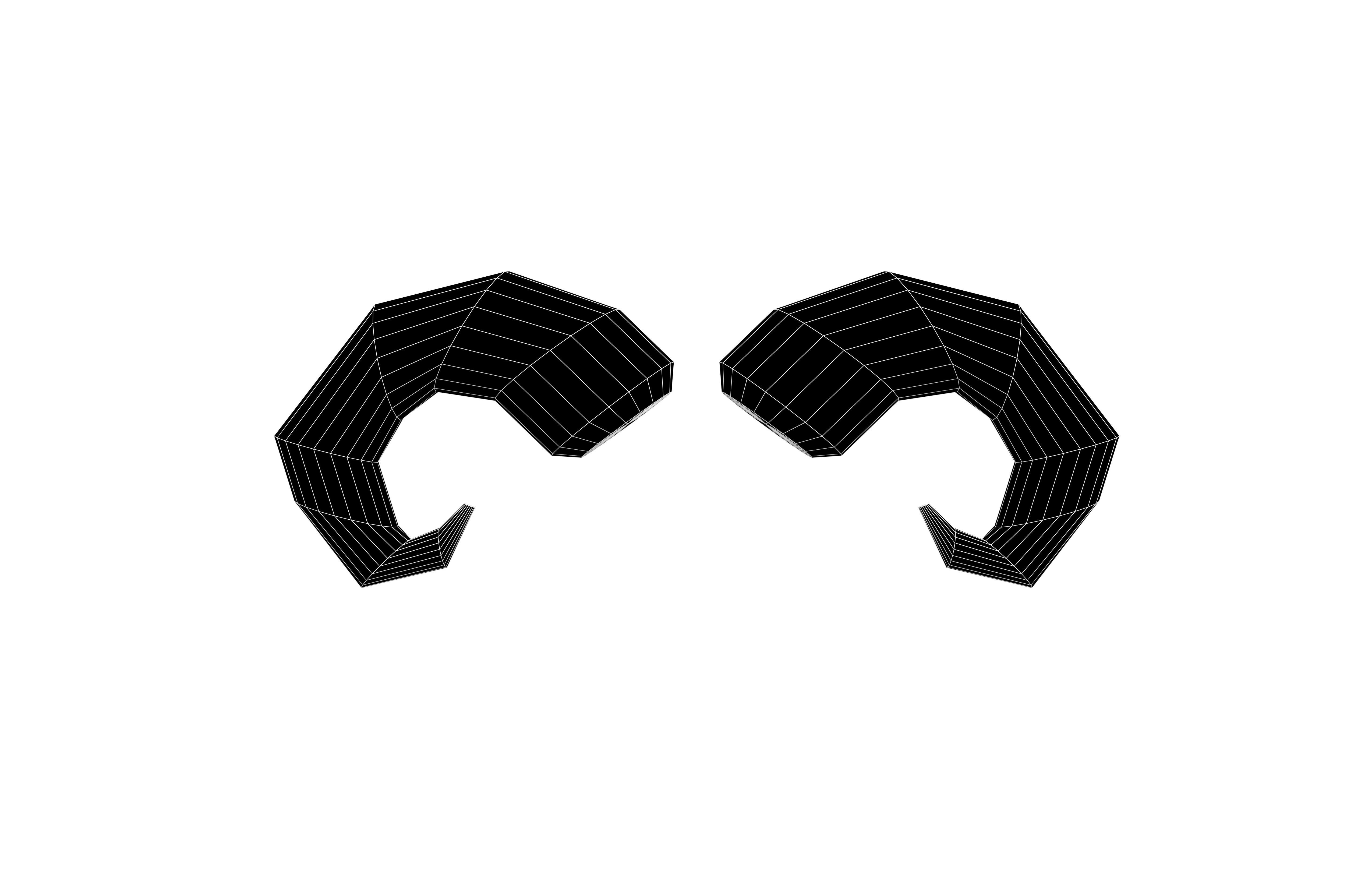 Goat Horn v1 008 Low-poly 3D model_5