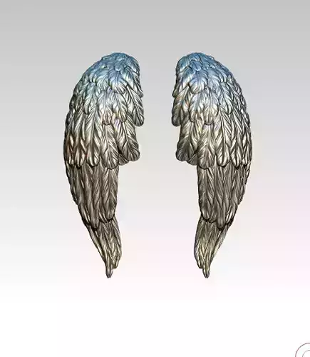 Detailed wing set 