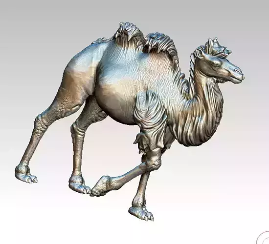 Camel staue