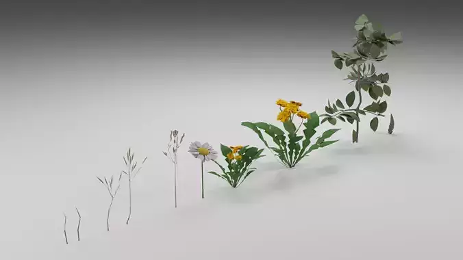 Navuroki Plant Asset