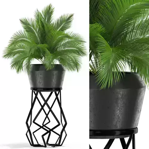 Plants collection 412