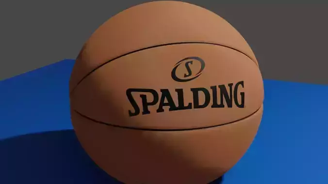 Spalding Basketball