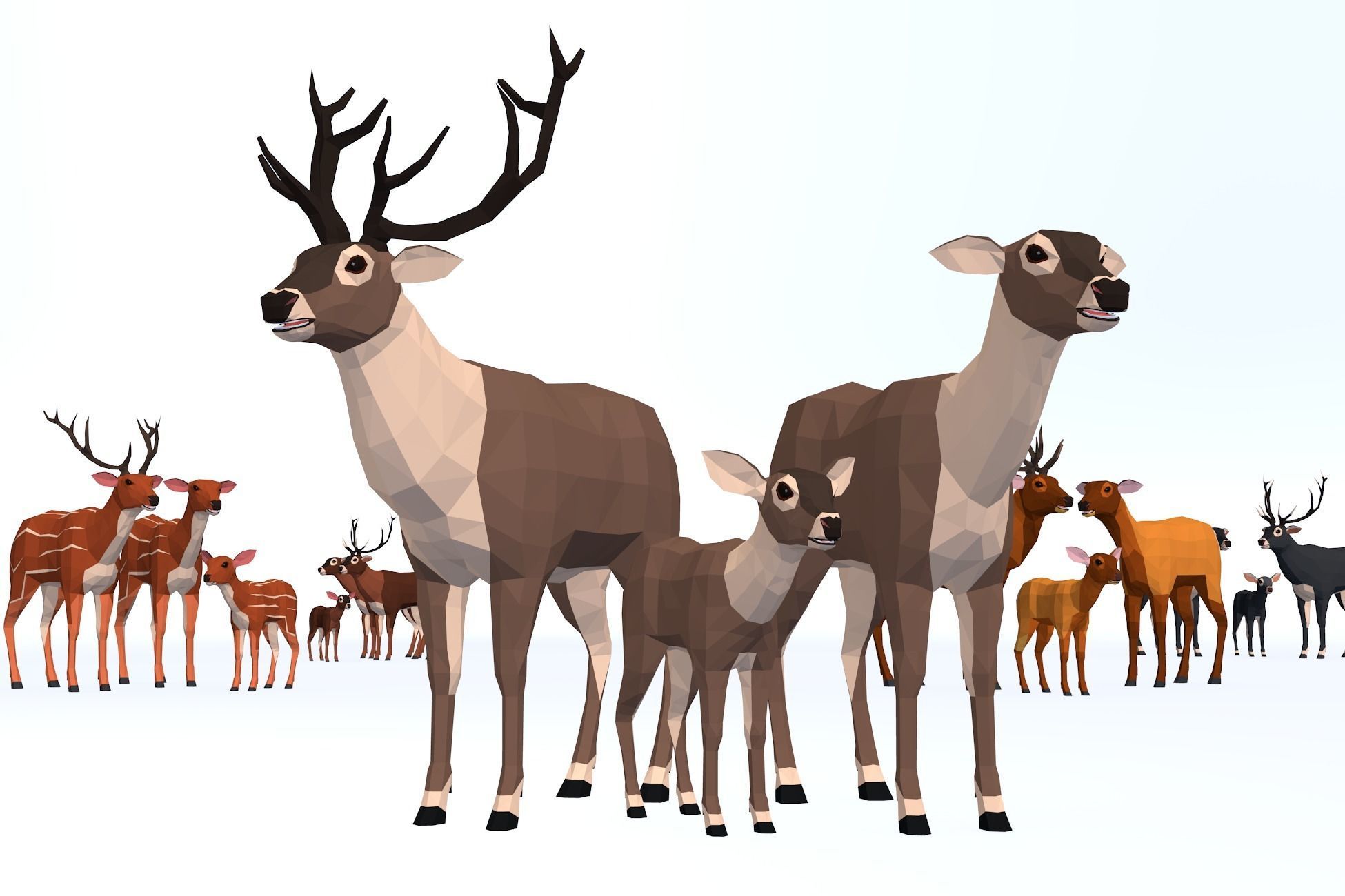 LowPoly Wild Animals pack Low-poly 3D model_6