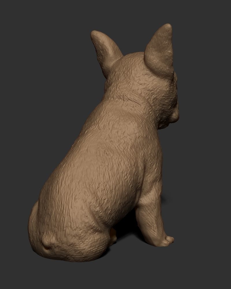 Frenchie Bulldog 3D print model_3