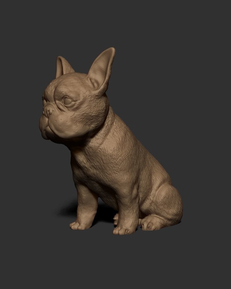 Frenchie Bulldog 3D print model_2