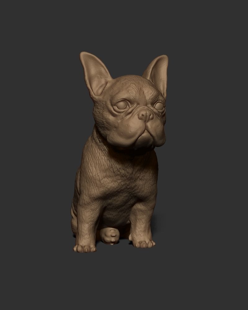 Frenchie Bulldog 3D print model_1