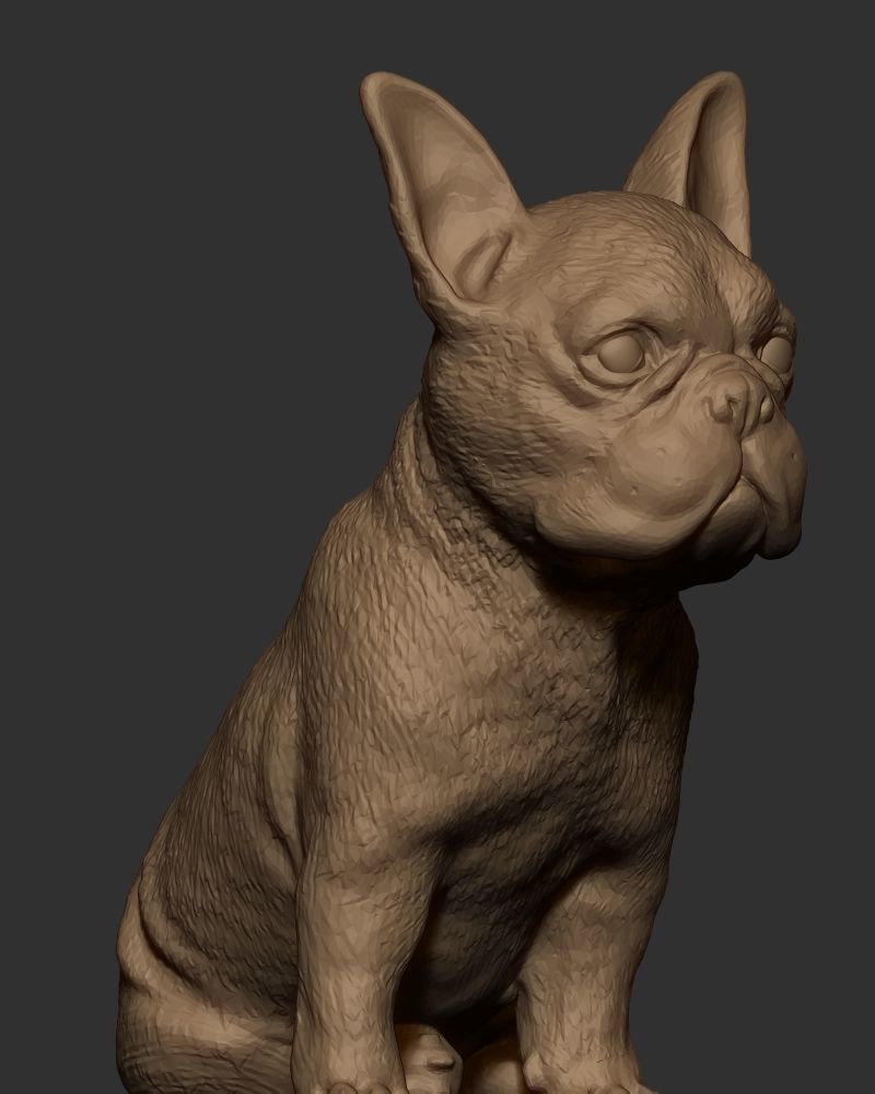 Frenchie Bulldog 3D print model_4
