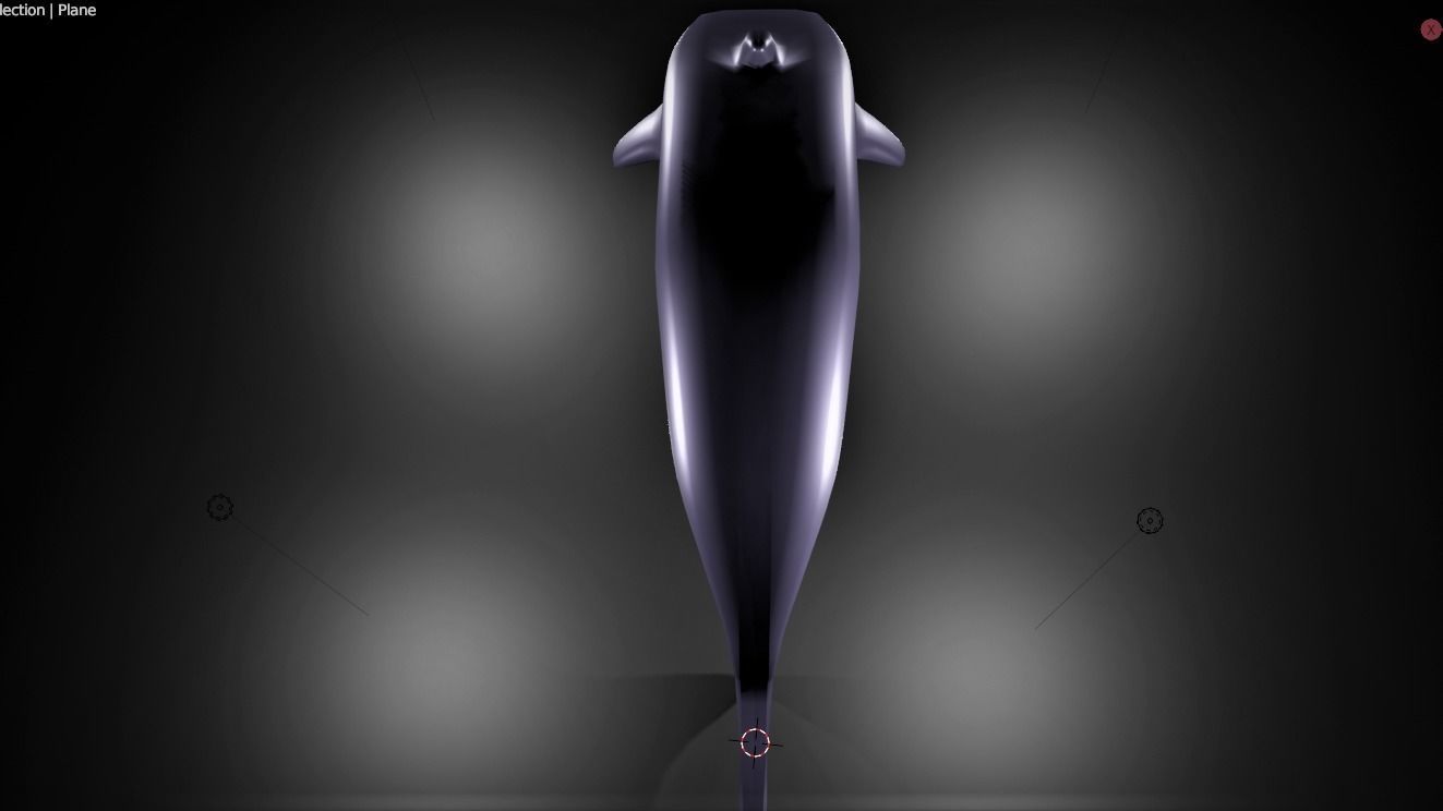 RIGGED DOLPHIN MODEL Free 3D model_3
