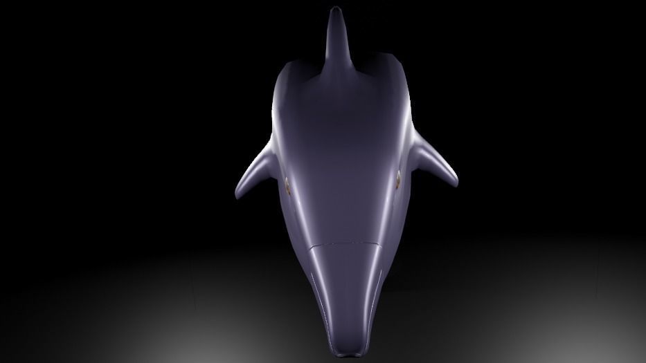 RIGGED DOLPHIN MODEL Free 3D model_2