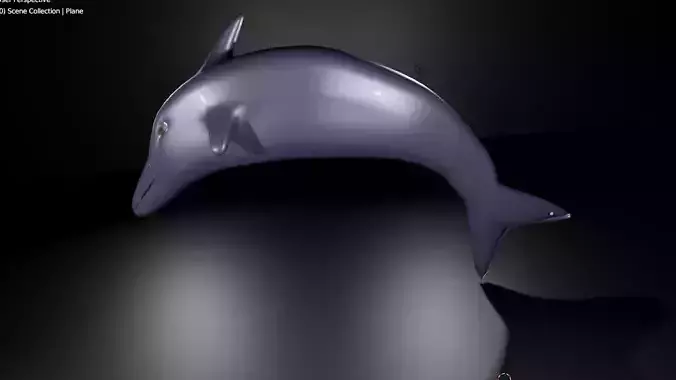 RIGGED DOLPHIN MODEL