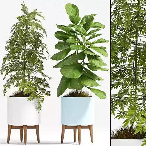 Decorative plant set-70 3D model