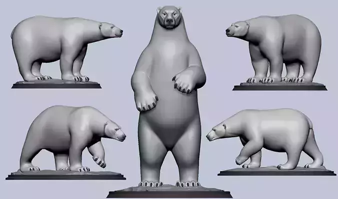 Polar Bear