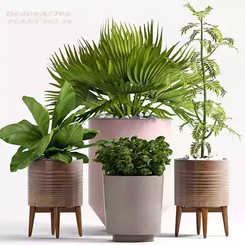 Decorative plant set-71