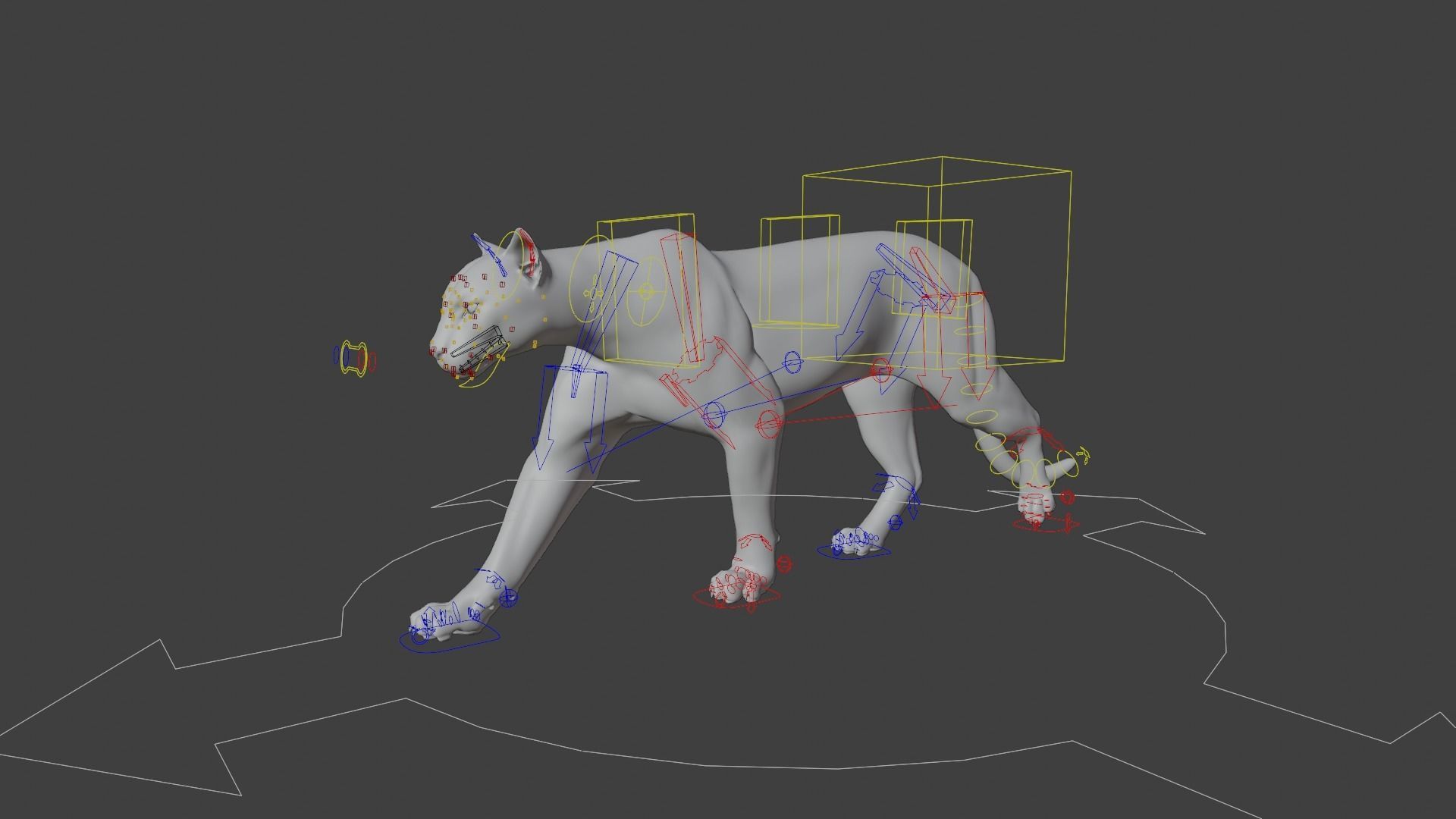 Puma Animated 3D model_18