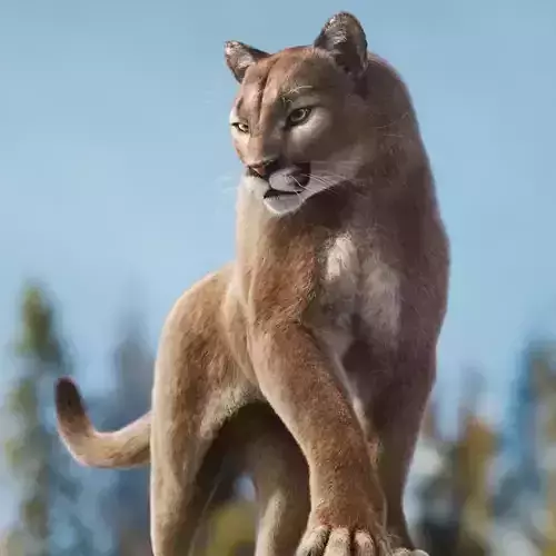 Puma Animated 3D model
