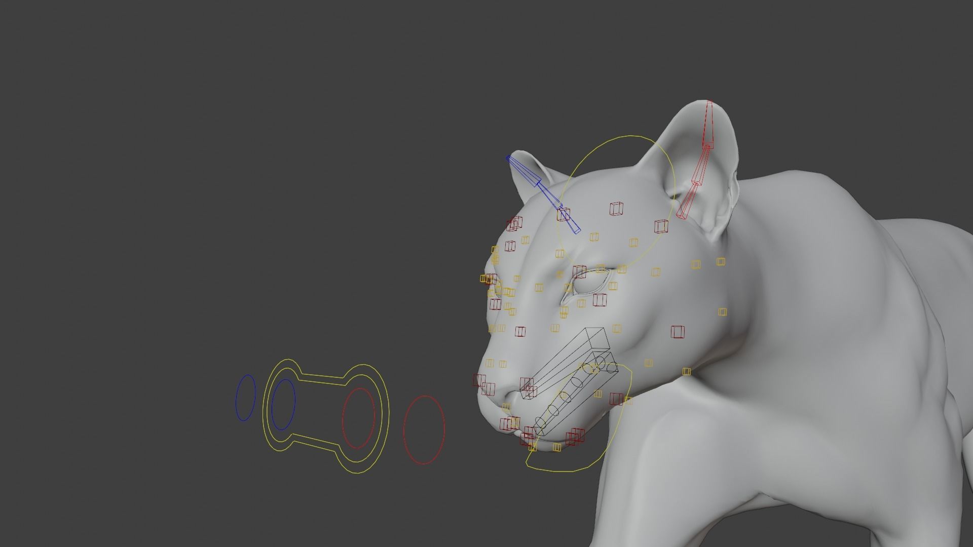 Puma Animated 3D model_19