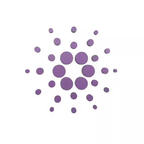 Cardano Coin v1 002
