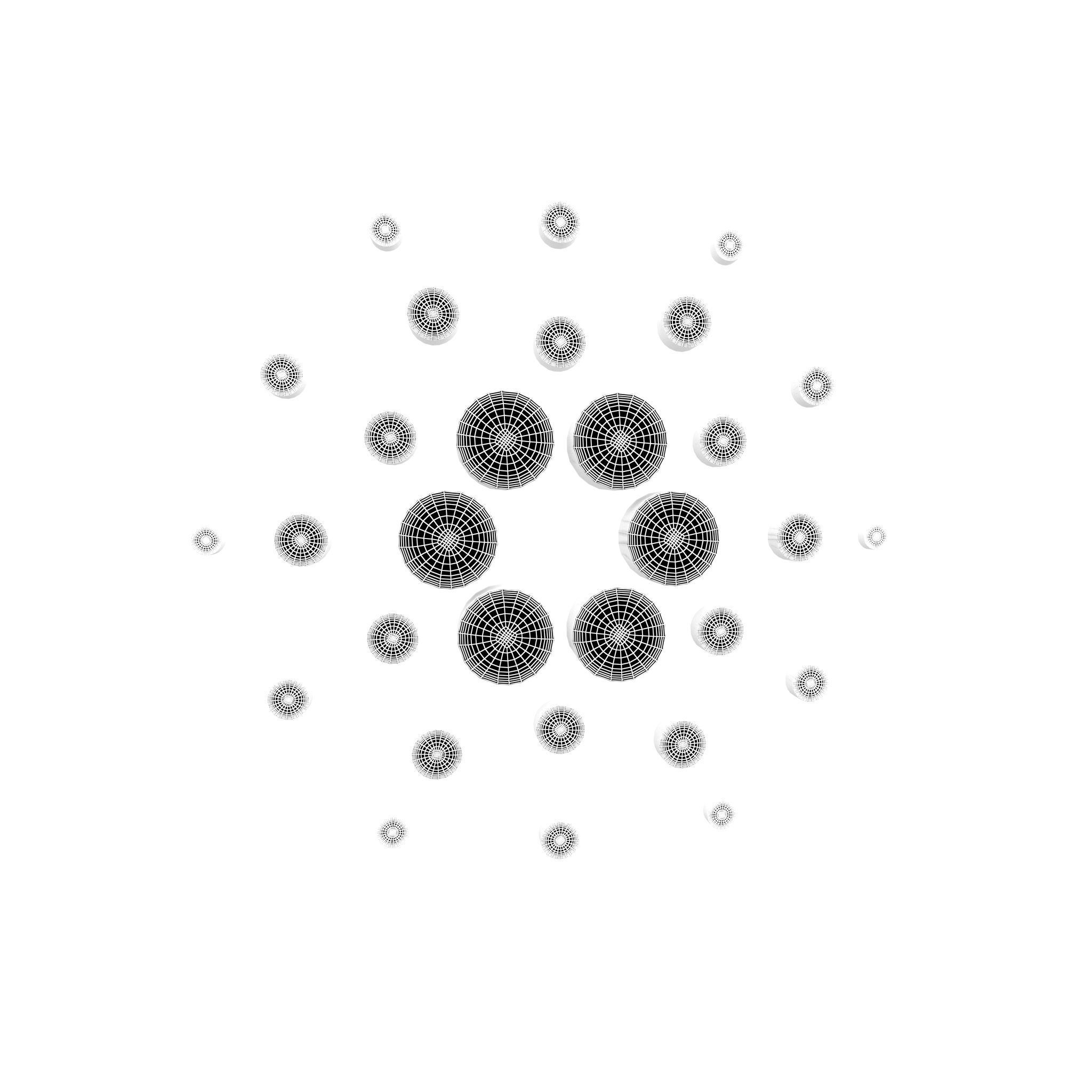 Cardano Coin v1 004 Low-poly 3D model_4