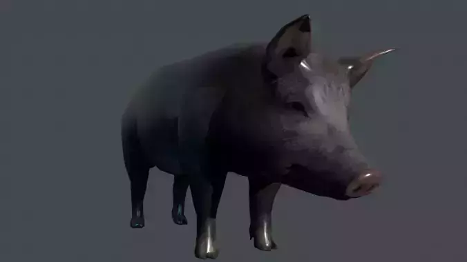 Cerdo pig