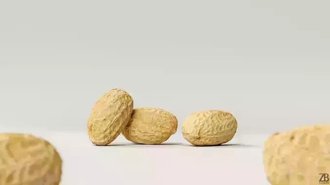 Peanut 3D model