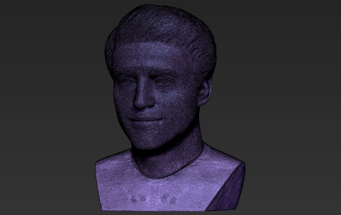 Joey Tribbiani from Friends bust 3D printing ready stl obj 3D print model_25