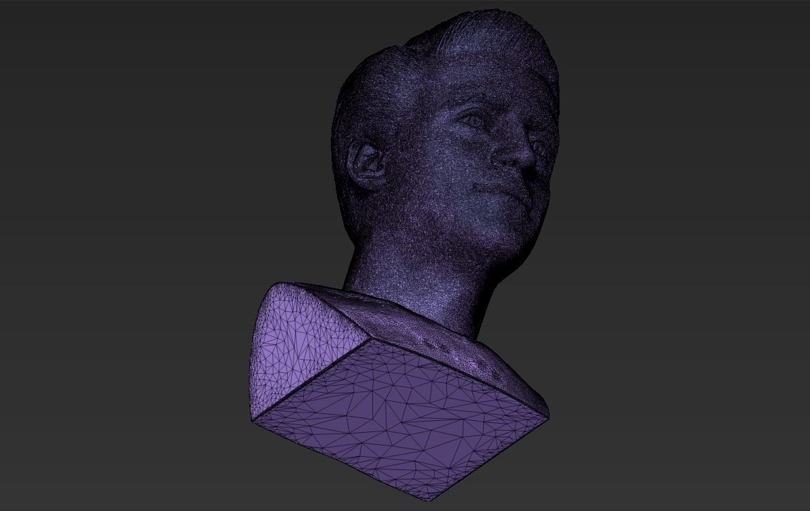 Joey Tribbiani from Friends bust 3D printing ready stl obj 3D print model_27