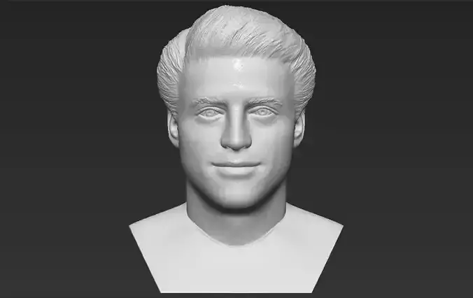 Joey Tribbiani from Friends bust 3D printing ready stl obj 3D print model