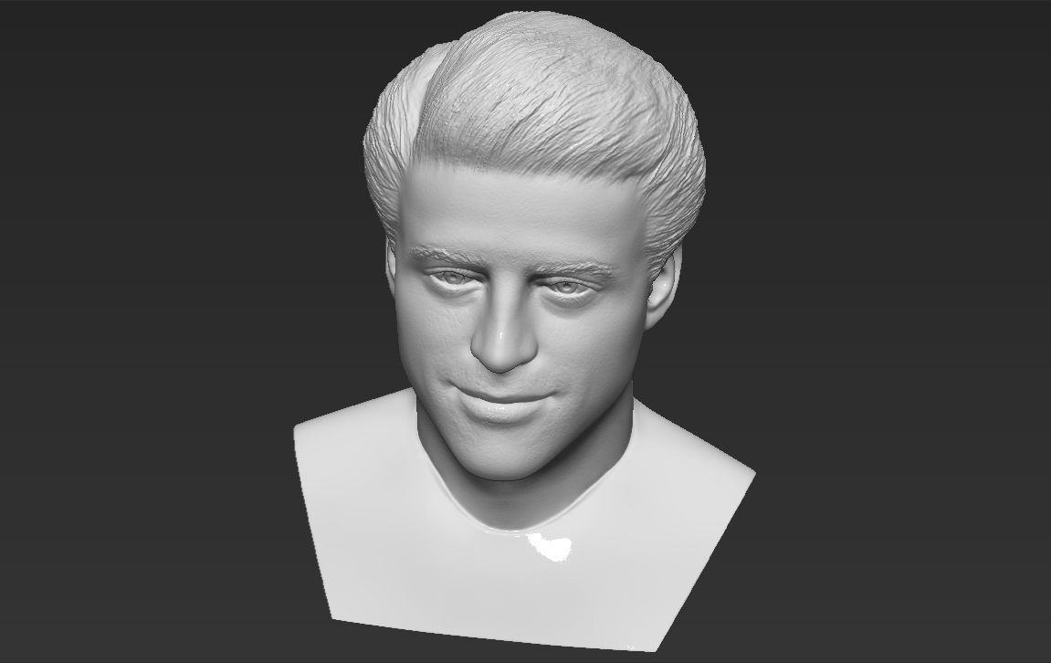Joey Tribbiani from Friends bust 3D printing ready stl obj 3D print model_23