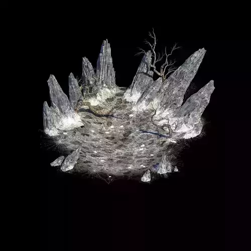 Public map-mountain-dead tree-spider web