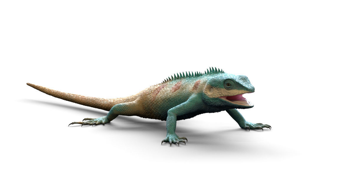 Indonesian Blue Crested Lizard Low-poly 3D model_4