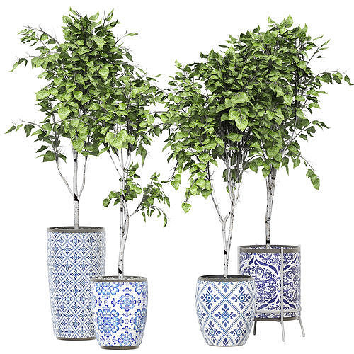 Flower Pack 147 3D model