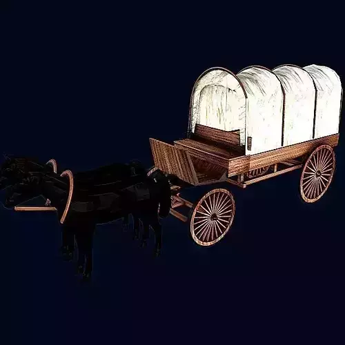 Western Carriage