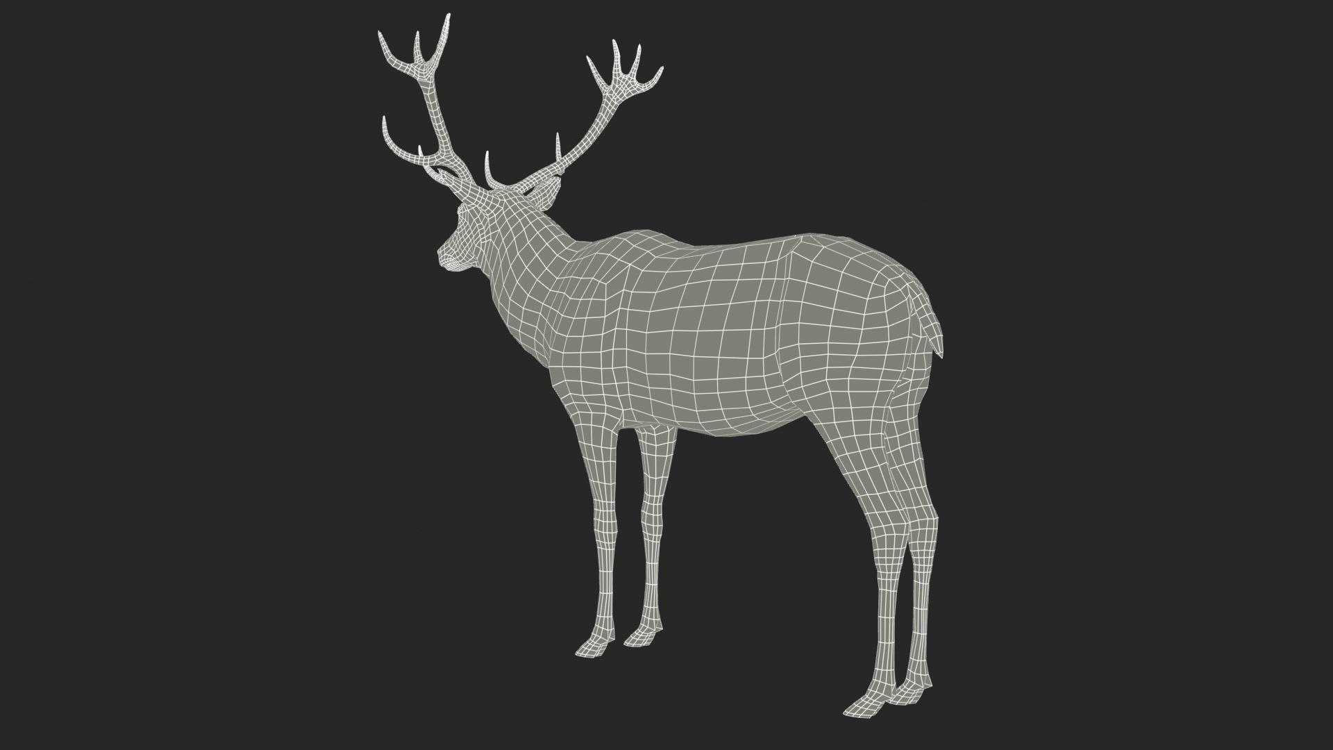 Red deer Low-poly 3D model_11