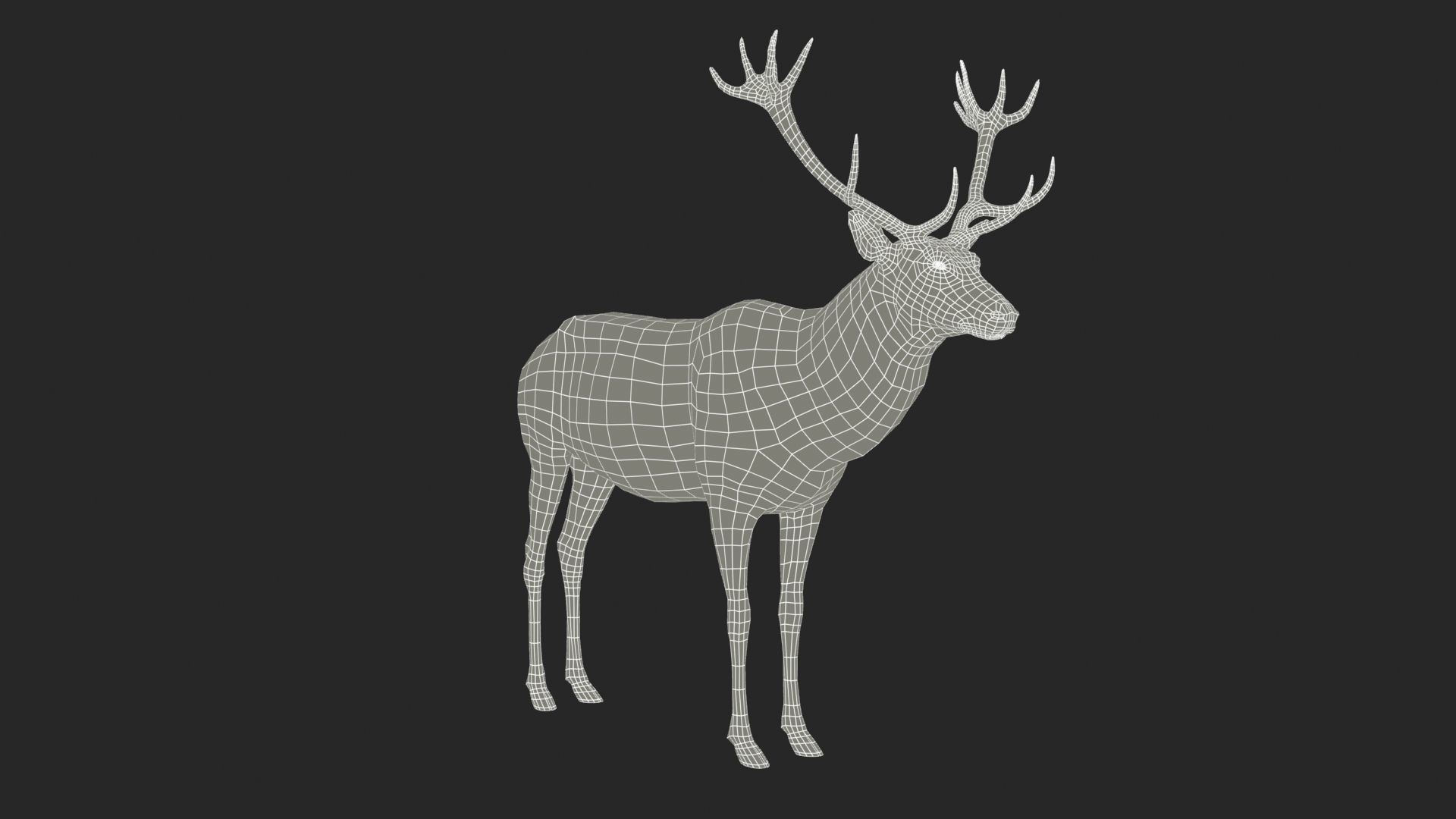 Red deer Low-poly 3D model_10