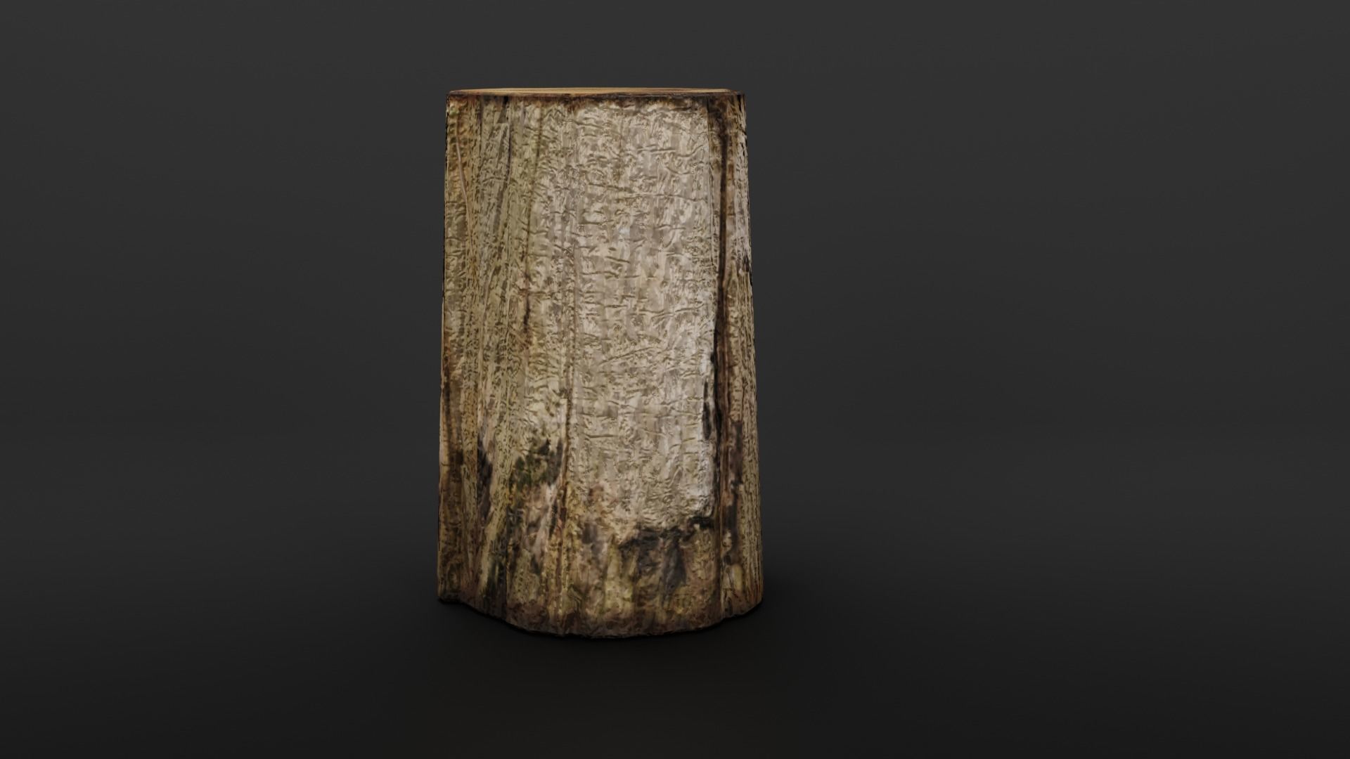 Stump and rusty axe 3D model_6