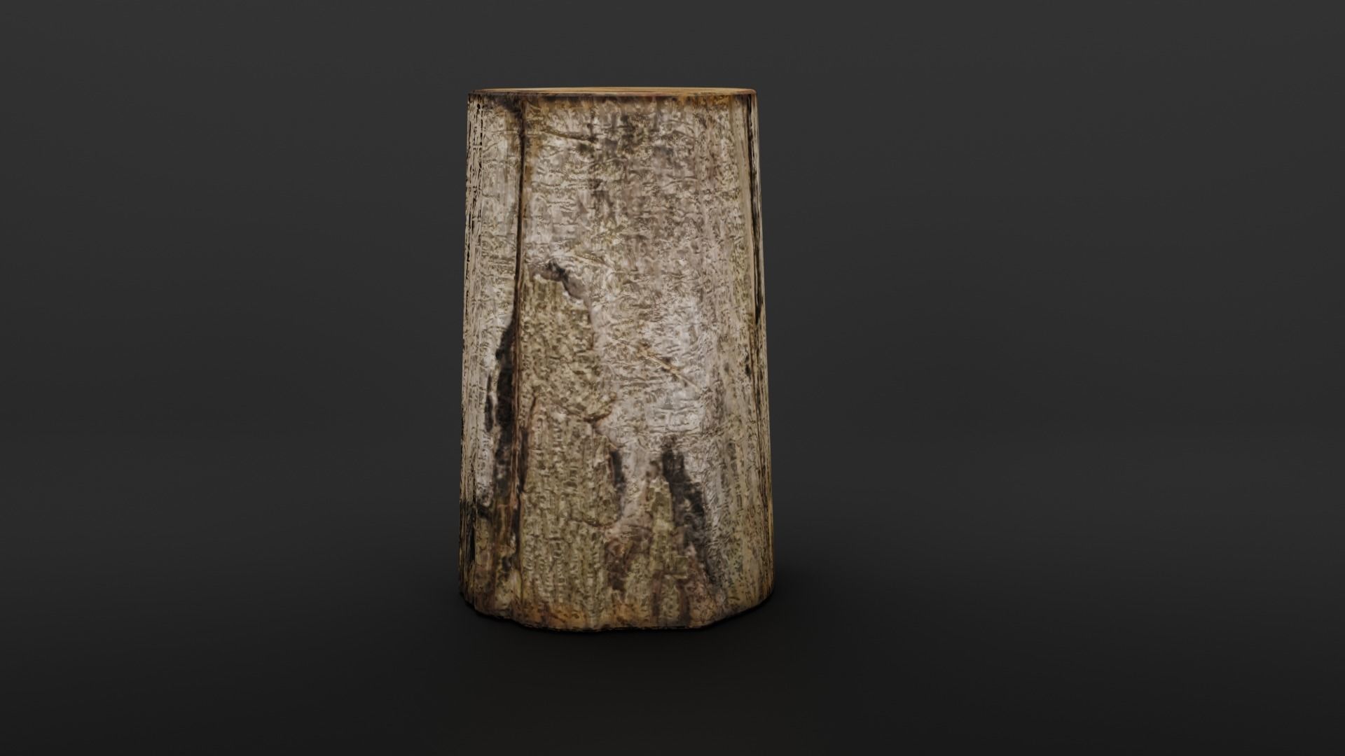 Stump and rusty axe 3D model_5
