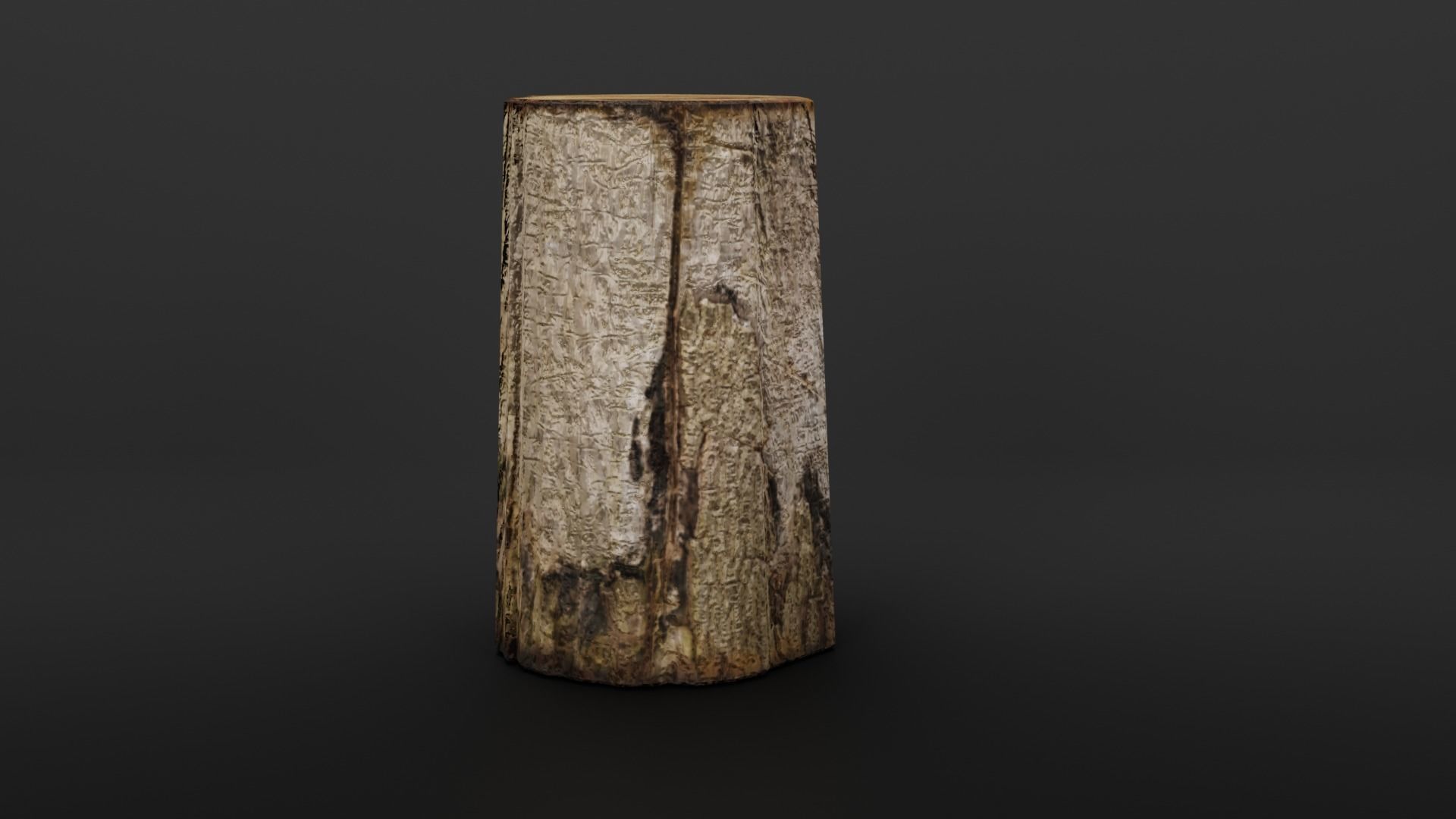 Stump and rusty axe 3D model_7