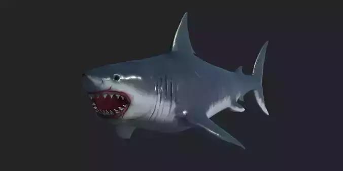 Shark Megalodon Low-poly 3D model