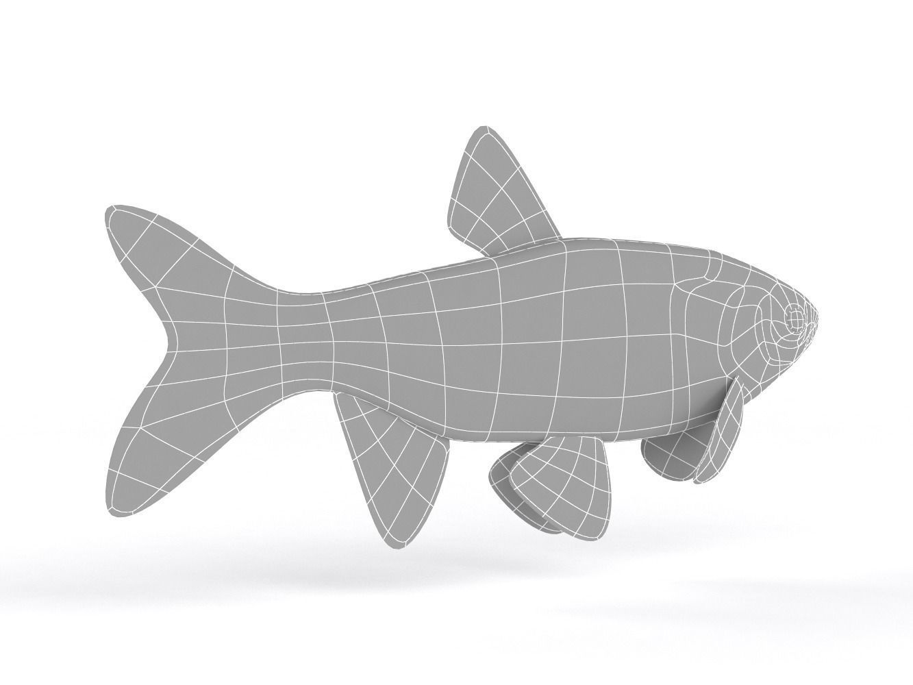 Freshwater Fish 3D model_7