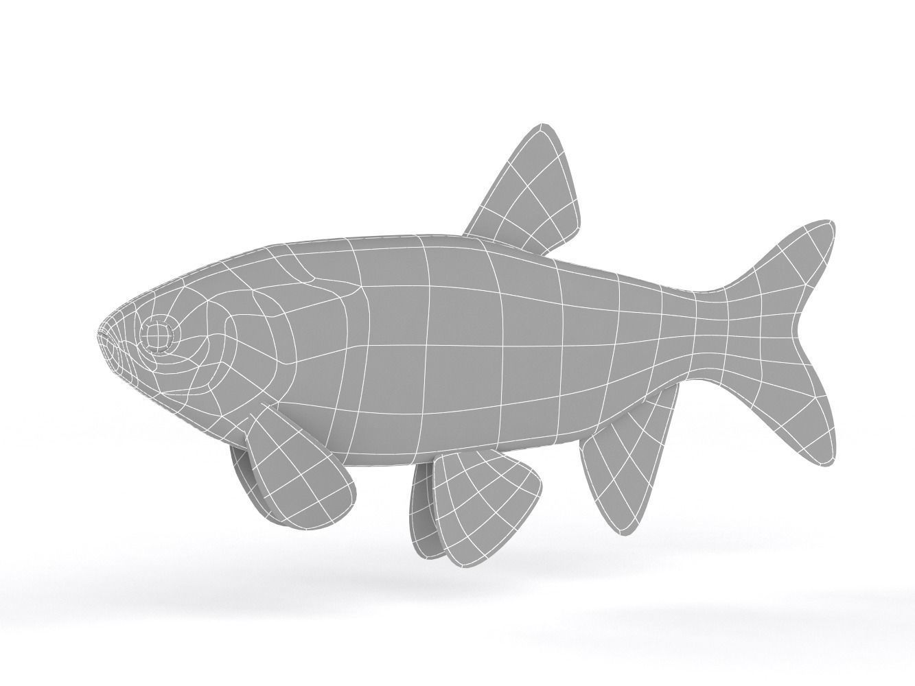Freshwater Fish 3D model_9