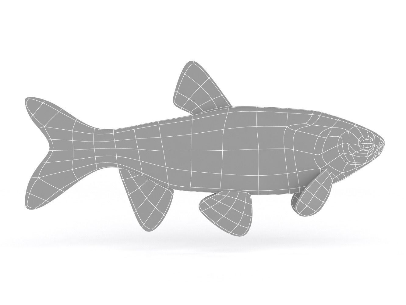 Freshwater Fish 3D model_5