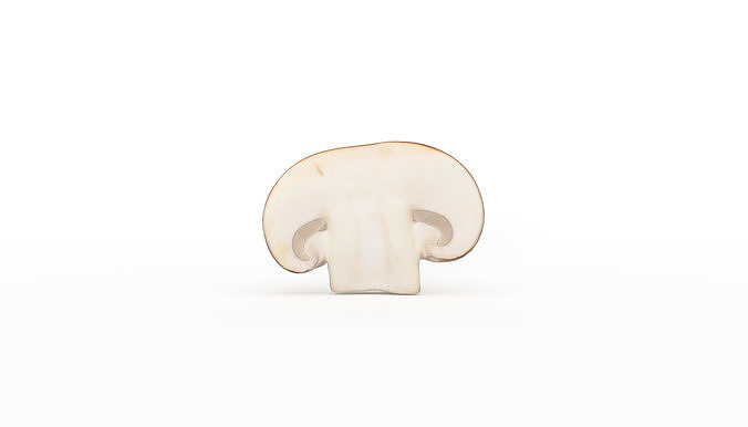 Paris Mushroom Photoscan Low-poly 3D model 6