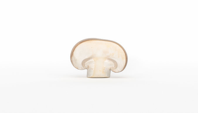 Paris Mushroom Photoscan Low-poly 3D model 7