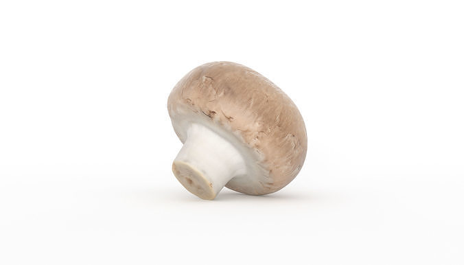Paris Mushroom Photoscan Low-poly 3D model 2