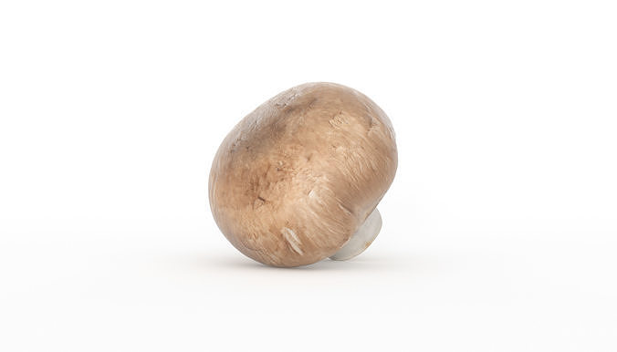 Paris Mushroom Photoscan Low-poly 3D model 4