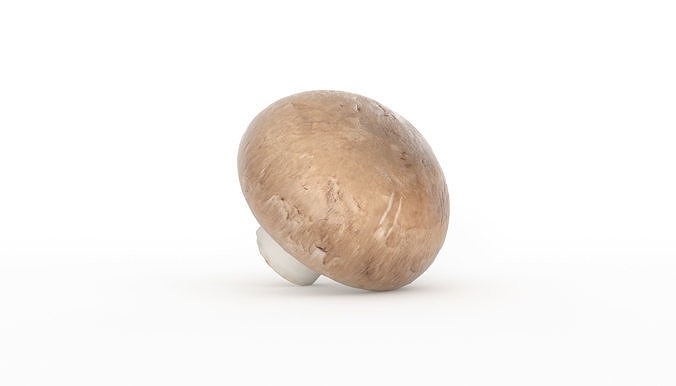 Paris Mushroom Photoscan Low-poly 3D model 3