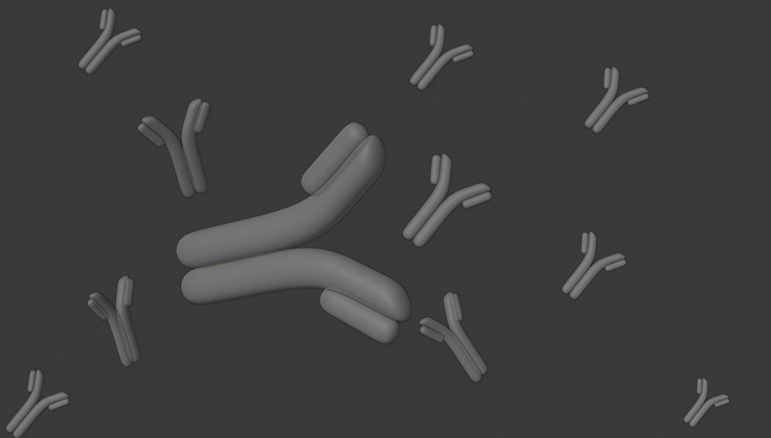 High quality antibody   3D model_3