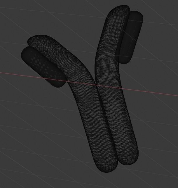 High quality antibody   3D model_4