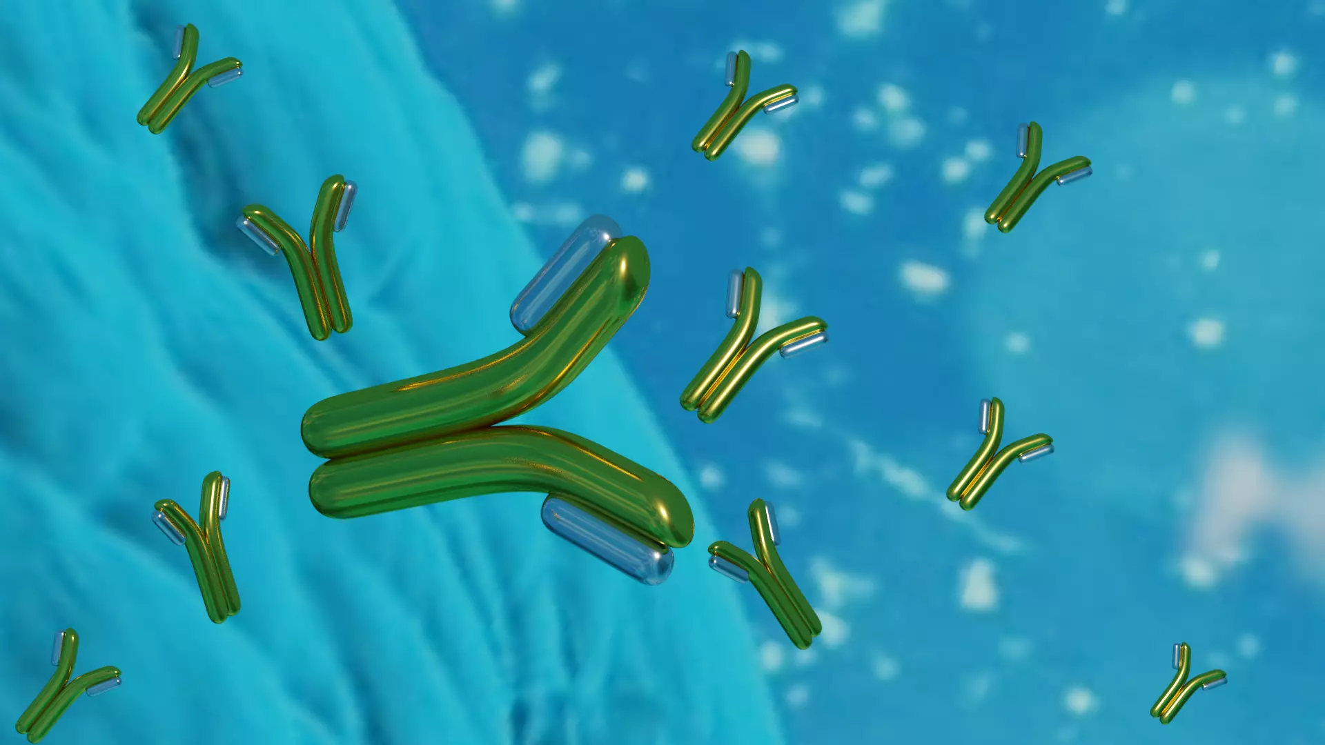 High quality antibody   3D model_0