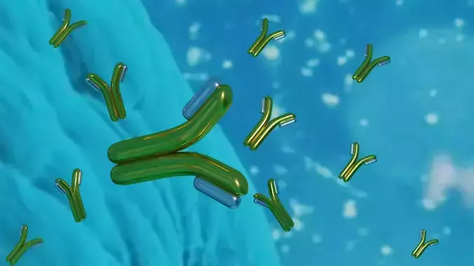 High quality antibody  